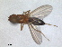  ( - RMNH.INS.1531865)  @11 [ ] by-nc-sa (2024) Unspecified Naturalis Biodiversity Centre