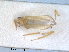  ( - ZMA.INS.5139137)  @11 [ ] by-nc-sa (2024) Unspecified Naturalis Biodiversity Centre