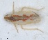  ( - ZMA.INS.5139170)  @11 [ ] by-nc-sa (2024) Unspecified Naturalis Biodiversity Centre