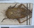  ( - ZMA.INS.5139187)  @11 [ ] by-nc-sa (2024) Unspecified Naturalis Biodiversity Centre