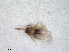  ( - ZMA.INS.5139828)  @11 [ ] by-nc-sa (2024) Unspecified Naturalis Biodiversity Centre