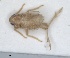  ( - ZMA.INS.5145126)  @11 [ ] by-nc-sa (2024) Unspecified Naturalis Biodiversity Centre