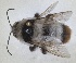  ( - ZMA.INS.837816)  @11 [ ] by-nc-sa (2024) Unspecified Naturalis Biodiversity Centre