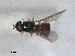  ( - ZMA.INS.853963)  @11 [ ] by-nc-sa (2024) Unspecified Naturalis Biodiversity Centre