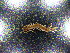  ( - BGE_00381_A12)  @11 [ ] CreativeCommons Attribution NonCommercial ShareAlike (2021) (2021) University of Lodz University of Lodz
