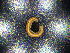  ( - BGE_00381_D06)  @11 [ ] CreativeCommons Attribution NonCommercial ShareAlike (2021) (2021) University of Lodz University of Lodz