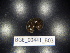  ( - BGE_00441_B03)  @11 [ ] CreativeCommons Attribution NonCommercial ShareAlike (2021) (2021) University of Lodz University of Lodz