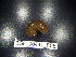  ( - BGE_00441_B05)  @11 [ ] CreativeCommons Attribution NonCommercial ShareAlike (2021) (2021) University of Lodz University of Lodz