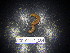  (Leptoiulus polonicus - BGE_00441_C04)  @11 [ ] CreativeCommons Attribution NonCommercial ShareAlike (2021) (2021) University of Lodz University of Lodz