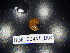  ( - BGE_00441_D04)  @11 [ ] CreativeCommons Attribution NonCommercial ShareAlike (2021) (2021) University of Lodz University of Lodz