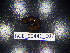  (Leptoiulus tussilaginis - BGE_00441_E07)  @11 [ ] CreativeCommons Attribution NonCommercial ShareAlike (2021) (2021) University of Lodz University of Lodz