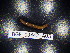  ( - BGE_00442_A03)  @11 [ ] CreativeCommons Attribution NonCommercial ShareAlike (2021) (2021) University of Lodz University of Lodz