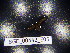  (Leptoiulus cibdellus - BGE_00442_E05)  @11 [ ] CreativeCommons Attribution NonCommercial ShareAlike (2021) (2021) University of Lodz University of Lodz
