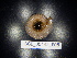 ( - BGE_00442_E08)  @11 [ ] CreativeCommons Attribution NonCommercial ShareAlike (2021) (2021) University of Lodz University of Lodz