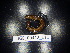  ( - BGE_00442_E11)  @11 [ ] CreativeCommons Attribution NonCommercial ShareAlike (2021) (2021) University of Lodz University of Lodz