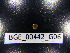  ( - BGE_00442_G06)  @11 [ ] CreativeCommons Attribution NonCommercial ShareAlike (2021) (2021) University of Lodz University of Lodz
