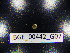  ( - BGE_00442_G07)  @11 [ ] CreativeCommons Attribution NonCommercial ShareAlike (2021) (2021) University of Lodz University of Lodz