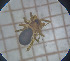  ( - BGE_00459_D05)  @11 [ ] CreativeCommons Attribution NonCommercial ShareAlike (2021) (2025) University of Lodz University of Lodz