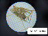  ( - BGE_00464_C09)  @11 [ ] CreativeCommons Attribution NonCommercial ShareAlike (2021) (2025) University of Lodz University of Lodz