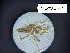  ( - BGE_00464_D02)  @11 [ ] CreativeCommons Attribution NonCommercial ShareAlike (2021) (2025) University of Lodz University of Lodz