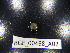  ( - BGE_00468_A02)  @11 [ ] CreativeCommons Attribution NonCommercial ShareAlike (2021) (2021) University of Lodz University of Lodz