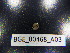  ( - BGE_00468_A03)  @11 [ ] CreativeCommons Attribution NonCommercial ShareAlike (2021) (2021) University of Lodz University of Lodz