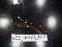 ( - BGE_00468_B03)  @11 [ ] CreativeCommons Attribution NonCommercial ShareAlike (2021) (2021) University of Lodz University of Lodz