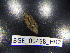  ( - BGE_00468_H02)  @11 [ ] CreativeCommons Attribution NonCommercial ShareAlike (2021) (2021) University of Lodz University of Lodz