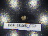  ( - BGE_00469_C07)  @11 [ ] CreativeCommons Attribution NonCommercial ShareAlike (2021) (2021) University of Lodz University of Lodz