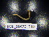  ( - BGE_00470_B10)  @11 [ ] CreativeCommons Attribution NonCommercial ShareAlike (2021) (2021) University of Lodz University of Lodz
