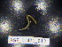  ( - BGE_00470_B12)  @11 [ ] CreativeCommons Attribution NonCommercial ShareAlike (2021) (2021) University of Lodz University of Lodz