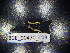  ( - BGE_00470_C03)  @11 [ ] CreativeCommons Attribution NonCommercial ShareAlike (2021) (2021) University of Lodz University of Lodz