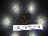 ( - BGE_00470_D04)  @11 [ ] CreativeCommons Attribution NonCommercial ShareAlike (2021) (2021) University of Lodz University of Lodz