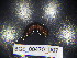  ( - BGE_00470_D07)  @11 [ ] CreativeCommons Attribution NonCommercial ShareAlike (2021) (2021) University of Lodz University of Lodz