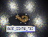  ( - BGE_00470_F10)  @11 [ ] CreativeCommons Attribution NonCommercial ShareAlike (2021) (2021) University of Lodz University of Lodz