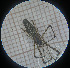  ( - BGE_00808_B9)  @11 [ ] CreativeCommons Attribution NonCommercial ShareAlike (2021) (2025) University of Lodz University of Lodz