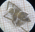  ( - BGE_00808_G7)  @11 [ ] CreativeCommons Attribution NonCommercial ShareAlike (2021) (2025) University of Lodz University of Lodz