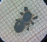  ( - BGE_00809_A06)  @11 [ ] CreativeCommons Attribution NonCommercial ShareAlike (2021) (2025) University of Lodz University of Lodz