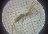  ( - BGE_00810_C10)  @11 [ ] CreativeCommons Attribution NonCommercial ShareAlike (2021) (2025) University of Lodz University of Lodz