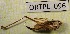  ( - BGE_00454_G12)  @11 [ ] CreativeCommons - Attribution Non-Commercial Share-Alike (2025) KZBiH, University of Lodz Department of Invertebrate Zoology and Hydrobiology, University of Lodz