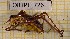  ( - BGE_00453_A02)  @11 [ ] CreativeCommons - Attribution Non-Commercial Share-Alike (2025) KZBiH, University of Lodz Department of Invertebrate Zoology and Hydrobiology, University of Lodz