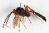  ( - BGE_00403_D06)  @11 [ ] CreativeCommons - Attribution Non-Commercial Share-Alike (2023) Unspecified Zoologisches Forschungsmuseum Alexander Koenig