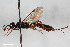  ( - BGE_00405_A06)  @11 [ ] CreativeCommons - Attribution Non-Commercial Share-Alike (2023) Unspecified Zoologisches Forschungsmuseum Alexander Koenig