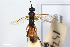  ( - BGE_00403_C01)  @11 [ ] CreativeCommons - Attribution Non-Commercial Share-Alike (2023) Unspecified Zoologisches Forschungsmuseum Alexander Koenig