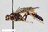  ( - BGE_00405_C04)  @11 [ ] CreativeCommons - Attribution Non-Commercial Share-Alike (2023) Unspecified Zoologisches Forschungsmuseum Alexander Koenig
