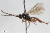  ( - BGE_00404_H03)  @11 [ ] CreativeCommons - Attribution Non-Commercial Share-Alike (2023) Unspecified Zoologisches Forschungsmuseum Alexander Koenig