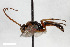  ( - BGE_00404_G03)  @11 [ ] CreativeCommons - Attribution Non-Commercial Share-Alike (2023) Unspecified Zoologisches Forschungsmuseum Alexander Koenig