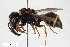  ( - BGE_00402_G04)  @11 [ ] CreativeCommons - Attribution Non-Commercial Share-Alike (2023) Unspecified Zoologisches Forschungsmuseum Alexander Koenig