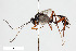  ( - BGE_00404_E12)  @11 [ ] CreativeCommons - Attribution Non-Commercial Share-Alike (2023) Unspecified Zoologisches Forschungsmuseum Alexander Koenig