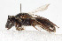  ( - BGE_00404_A04)  @11 [ ] CreativeCommons - Attribution Non-Commercial Share-Alike (2023) Unspecified Zoologisches Forschungsmuseum Alexander Koenig